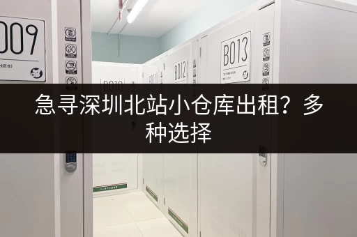 急寻深圳北站小仓库出租？多种选择，任您挑选