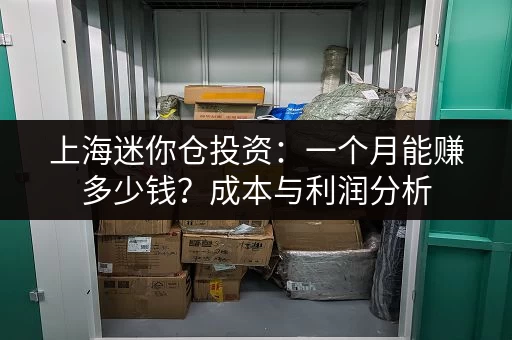 上海迷你仓投资：一个月能赚多少钱？成本与利润分析