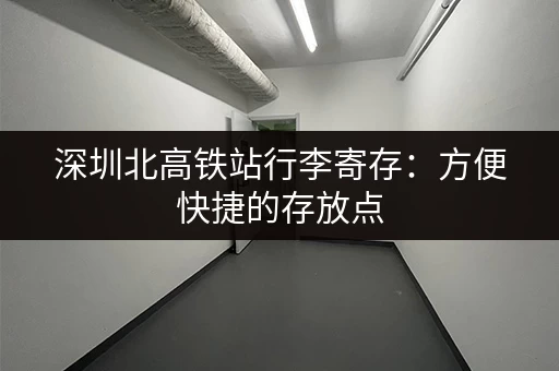 深圳北高铁站行李寄存：方便快捷的存放点