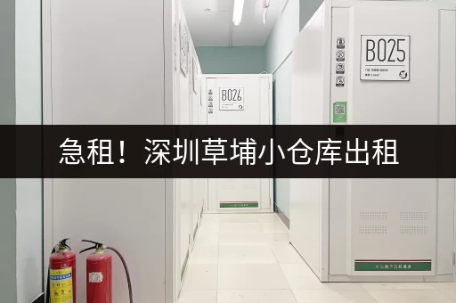 急租！深圳草埔小仓库出租，价格面议，火速联系！