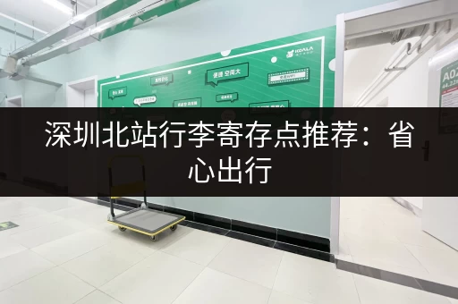 深圳北站行李寄存点推荐：省心出行，玩转深圳