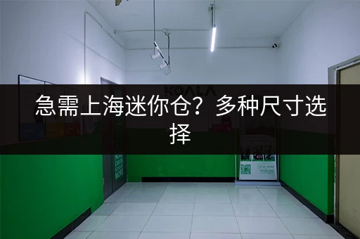 急需上海迷你仓？多种尺寸选择，租金灵活
