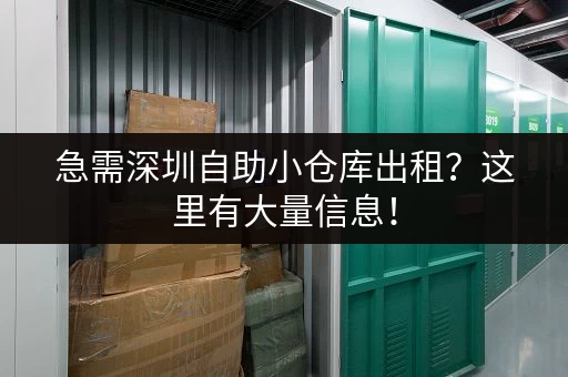 急需深圳自助小仓库出租？这里有大量信息！