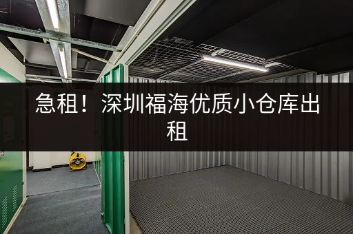 急租！深圳福海优质小仓库出租，位置优越！