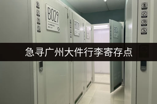 急寻广州大件行李寄存点，费用如何计算？