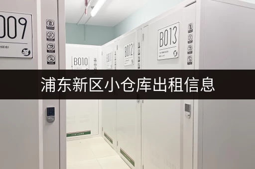 浦东新区小仓库出租信息，多种面积任您选择！