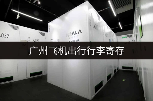 广州飞机出行行李寄存，省心又省力！
