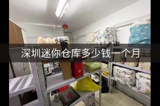 深圳迷你仓库多少钱一个月，深圳龙岗小仓库出租