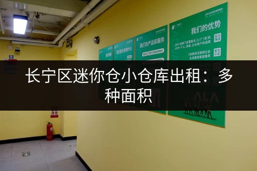 长宁区迷你仓小仓库出租：多种面积，灵活租赁