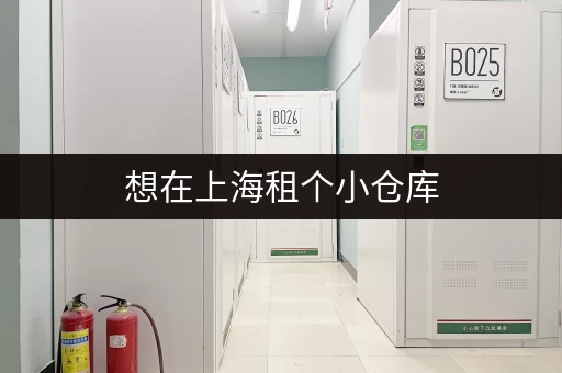 想在上海租个小仓库，一万元够不够？