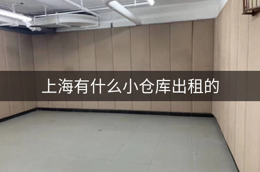 上海有什么小仓库出租的，上海郊区仓库出租价格