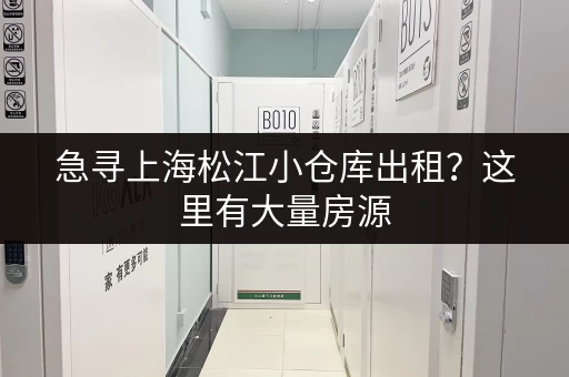 急寻上海松江小仓库出租？这里有大量房源