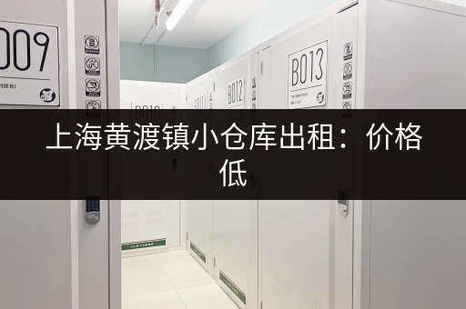 上海黄渡镇小仓库出租：价格低，面积灵活，拎包入住！