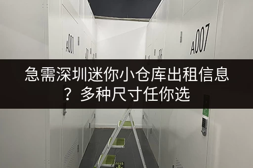 急需深圳迷你小仓库出租信息？多种尺寸任你选