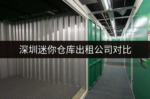深圳迷你仓库出租公司对比，哪家性价比最高最划算？