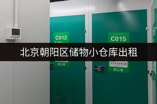 北京朝阳区储物小仓库出租，价格优惠，安全可靠！
