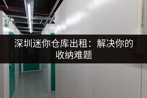 深圳迷你仓库出租：解决你的收纳难题，价格实惠！