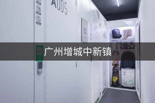 广州增城中新镇，广州增城中新小仓库出租信息