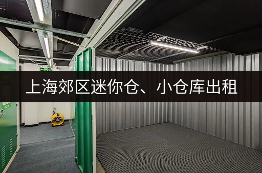 上海郊区迷你仓、小仓库出租，多种选择满足您的需求