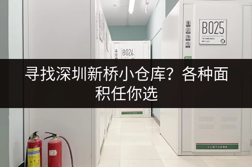寻找深圳新桥小仓库？各种面积任你选，立即咨询！