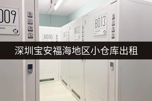 深圳宝安福海地区小仓库出租，位置优越交通便利