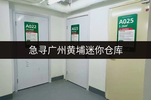 急寻广州黄埔迷你仓库，有哪些靠谱的选择？