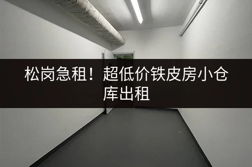 松岗急租！超低价铁皮房小仓库出租，多种面积可选
