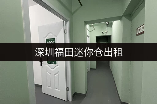 深圳福田迷你仓出租，适合个人和小型企业使用