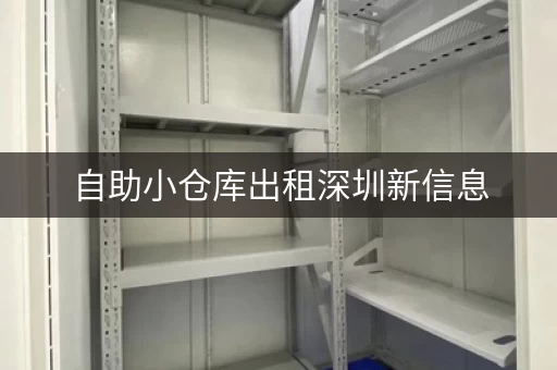 自助小仓库出租深圳新信息，深圳自助式仓储