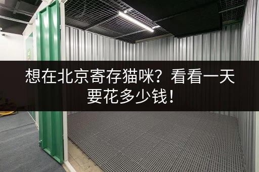 想在北京寄存猫咪？看看一天要花多少钱！