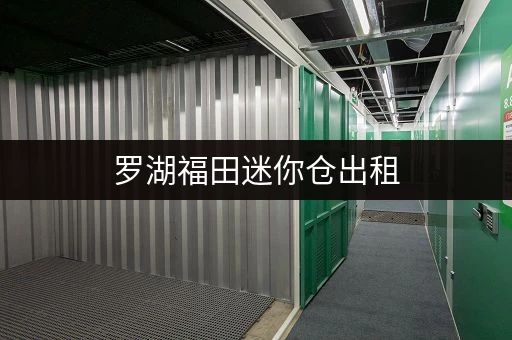罗湖福田迷你仓出租，价格低至0.35元㎡天，安全可靠