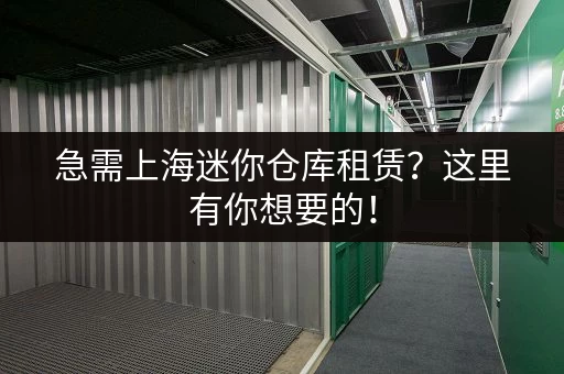急需上海迷你仓库租赁？这里有你想要的！