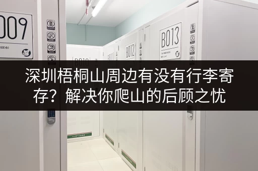 深圳梧桐山周边有没有行李寄存？解决你爬山的后顾之忧