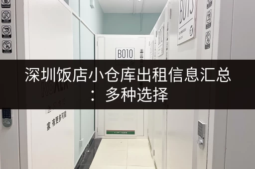 深圳饭店小仓库出租信息汇总：多种选择，总有一款适合你