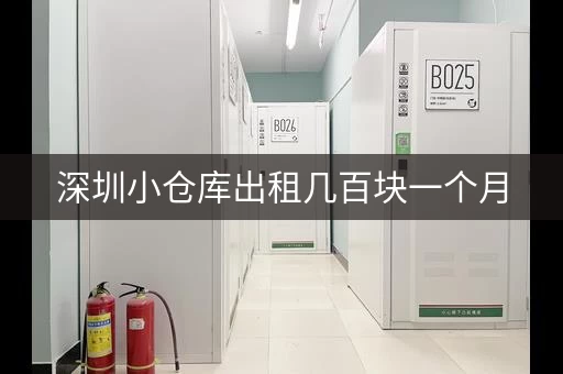 深圳小仓库出租几百块一个月，深圳小型仓库出租家用