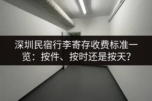 深圳民宿行李寄存收费标准一览：按件、按时还是按天？