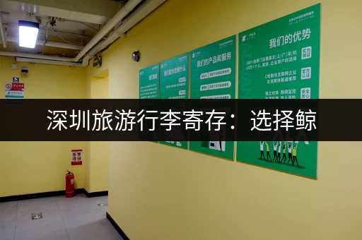 深圳旅游行李寄存：选择鲸，安心又省心