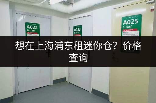 想在上海浦东租迷你仓？价格查询，帮你节省开支