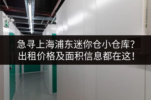 急寻上海浦东迷你仓小仓库？出租价格及面积信息都在这！