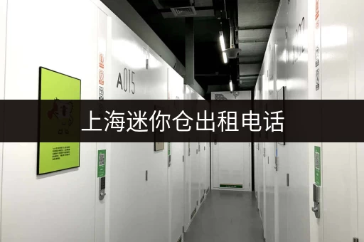 上海迷你仓出租电话，小仓库租赁价格及地址查询