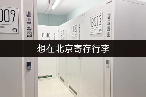想在北京寄存行李，收费标准是多少？有哪些需要注意的事项？