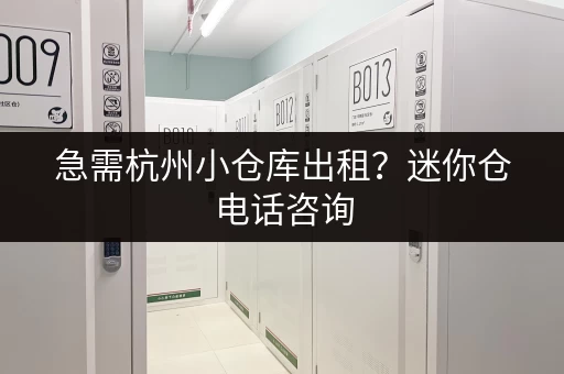 急需杭州小仓库出租？迷你仓电话咨询，价格优惠！