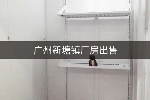 广州新塘镇厂房出售，广州新塘厂房出租信息