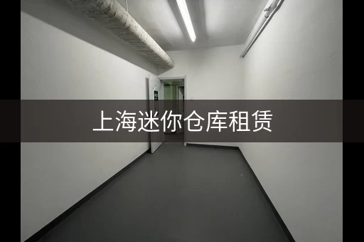 上海迷你仓库租赁，上海租迷你仓库多少钱