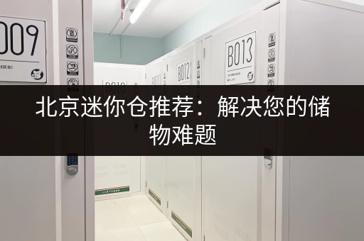 北京迷你仓推荐：解决您的储物难题，多种尺寸任选！