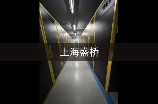 上海盛桥，盛桥厂房出租