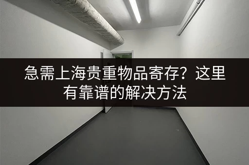 急需上海贵重物品寄存？这里有靠谱的解决方法