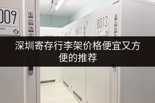 深圳寄存行李架价格便宜又方便的推荐