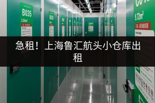急租！上海鲁汇航头小仓库出租，电话号码及详情！
