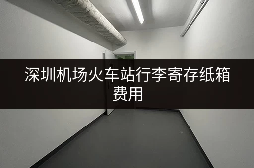 深圳机场火车站行李寄存纸箱费用，如何选择更实惠？